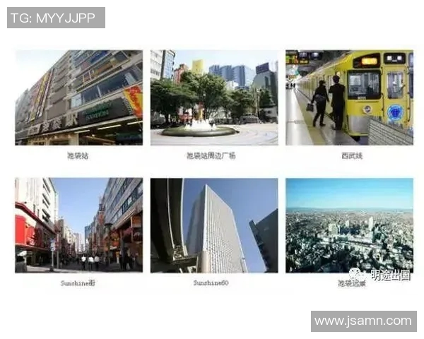 2016年中国与日本的经济竞争与文化交流全景分析